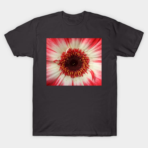 Flower eye T-Shirt by OVP Art&Design